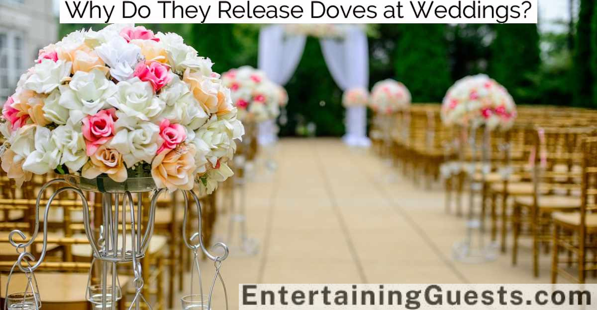 Why Do They Release Doves at Weddings?